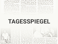Глава МИД Германии Штайнмайер: "До разрешения кризиса еще далеко"